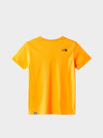 Футболка The North Face teens s/s simple dome tee модель NF0A7X5G78M1 Фото