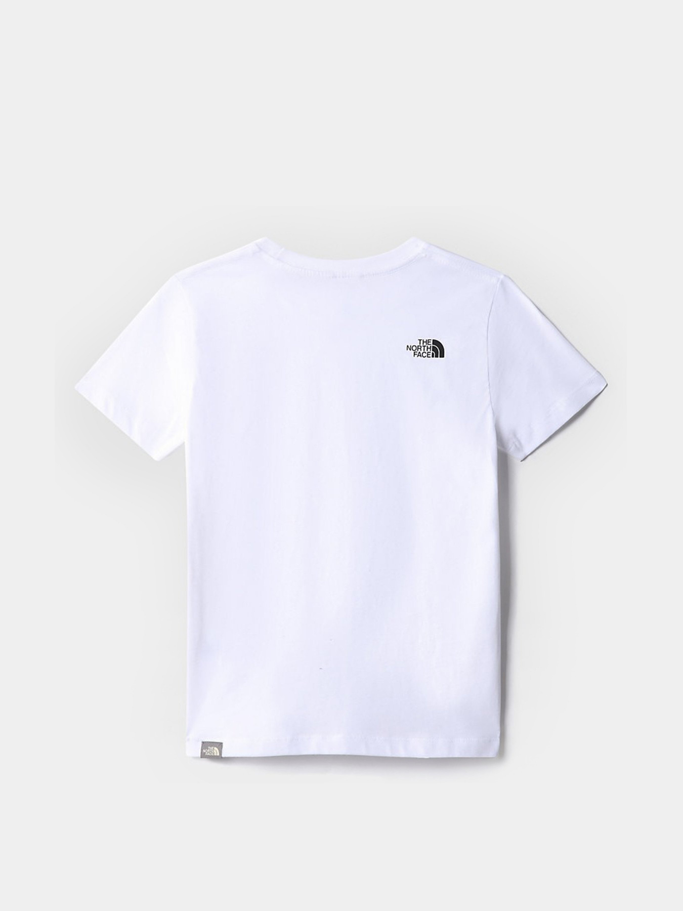Футболка The North Face teens s/s simple dome tee модель NF0A7X5GLA91 Фото