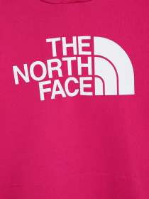 Худі The North Face Graphic Relaxed модель NF0A7X4T1461 Фото