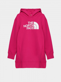 Худі The North Face Graphic Relaxed модель NF0A7X4T1461 Фото
