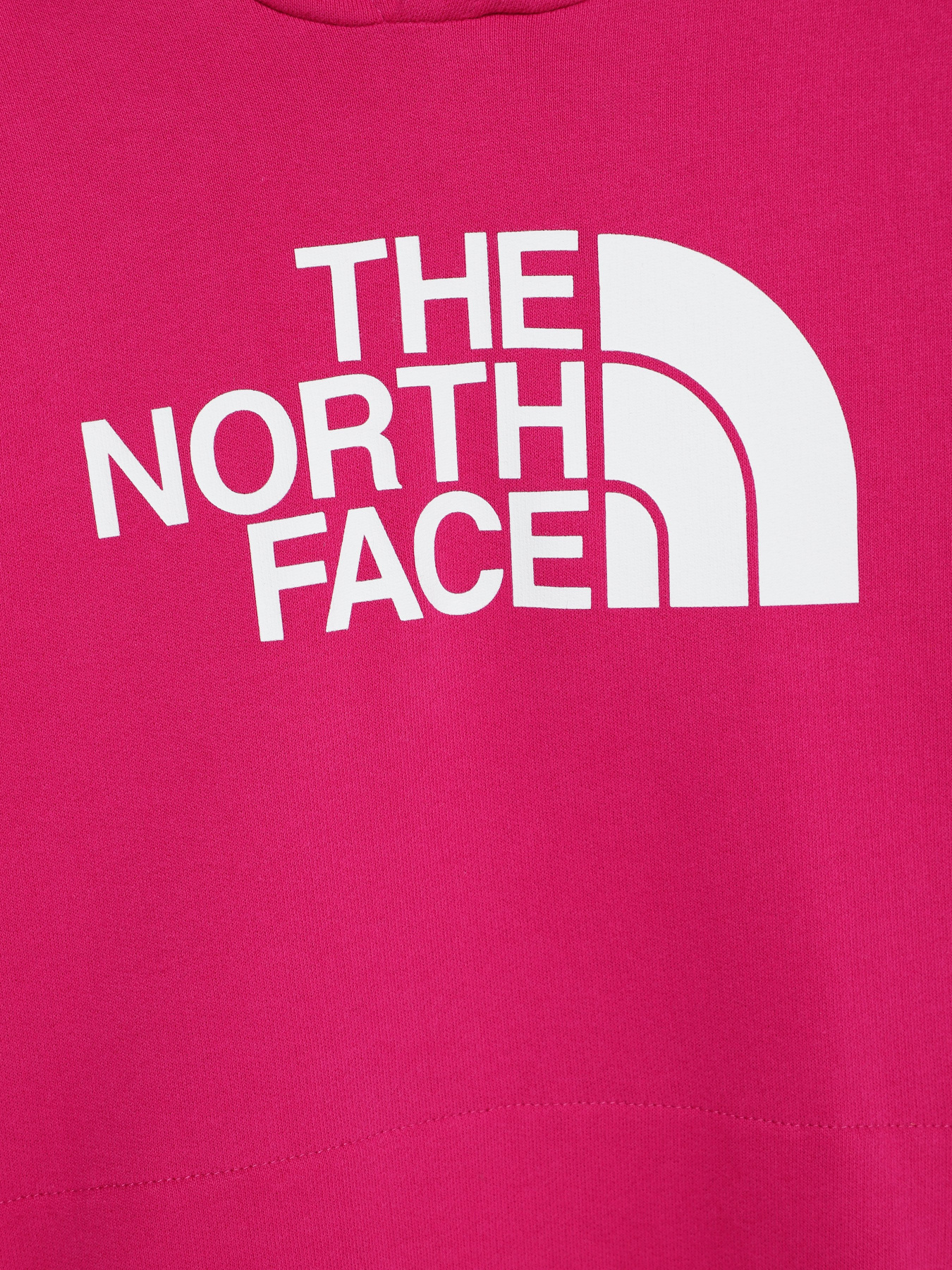 Худі The North Face Graphic Relaxed модель NF0A7X4T1461 Фото