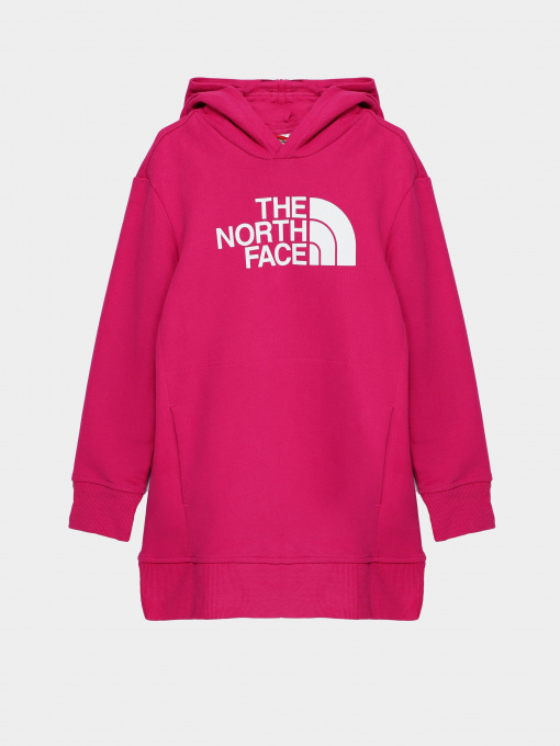 Худи The North Face Graphic Relaxed модель NF0A7X4T1461 Фото