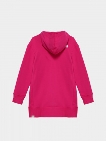 Худі The North Face Graphic Relaxed модель NF0A7X4T1461 Фото