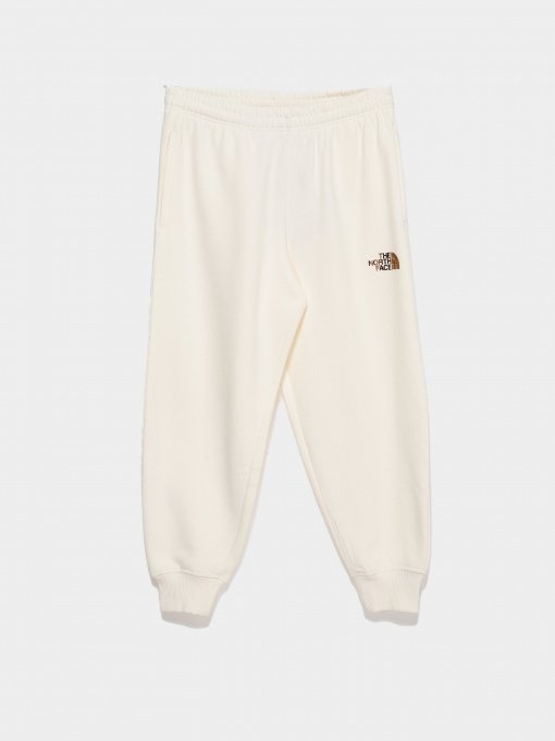 Штаны спортивные The North Face DOCK WORKER RECYCLED BEANIE модель NF0A7X4WN3N1 Фото