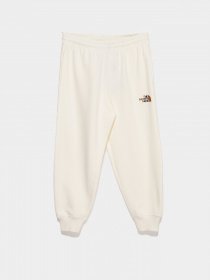 Спортивні штани The North Face DOCK WORKER RECYCLED BEANIE модель NF0A7X4WN3N1 Фото