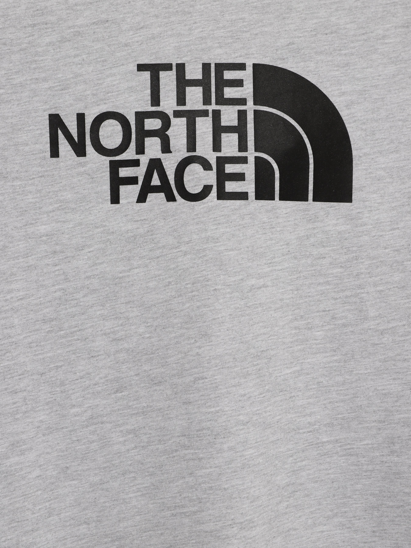 Футболка The North Face Easy модель NF0A7X5EDYX1 Фото