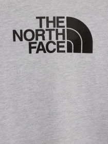 Футболка The North Face Easy модель NF0A7X5EDYX1 Фото