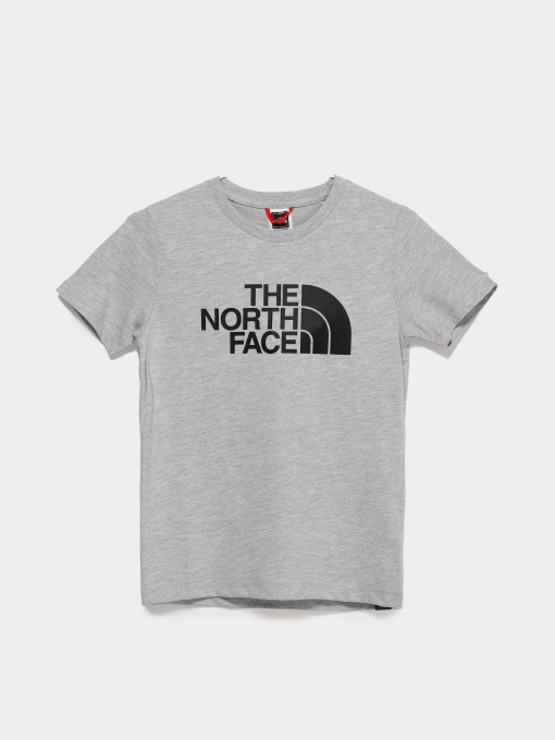 Футболка The North Face Easy модель NF0A7X5EDYX1 Фото