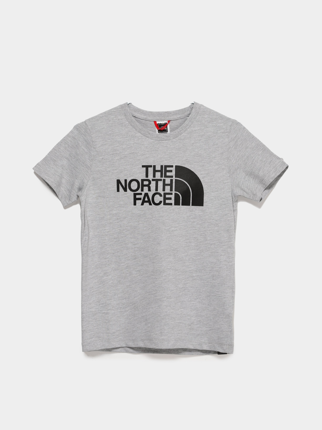 Футболка The North Face Easy модель NF0A7X5EDYX1 Фото