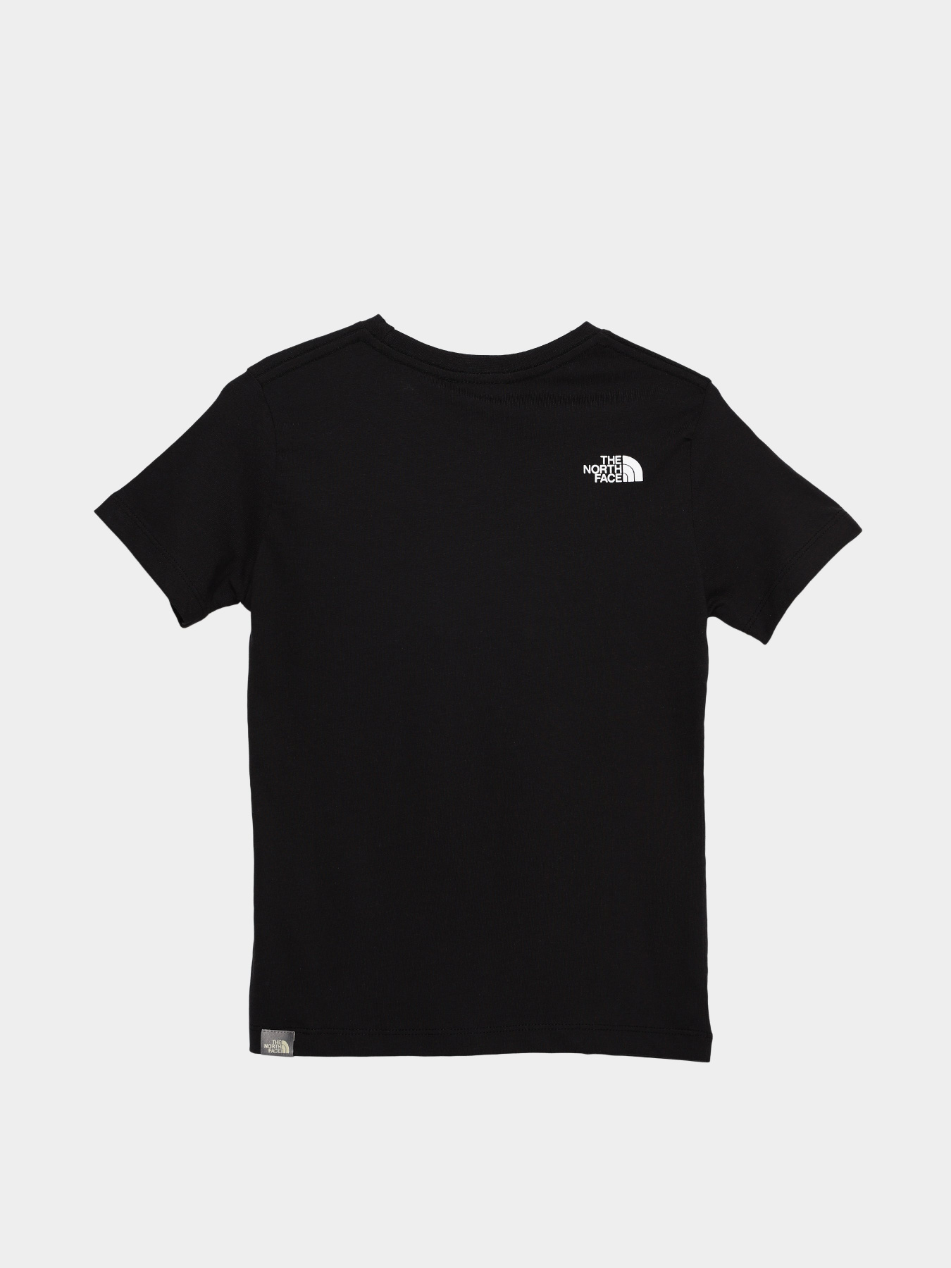 Футболка The North Face Easy модель NF0A7X5EJK31 Фото