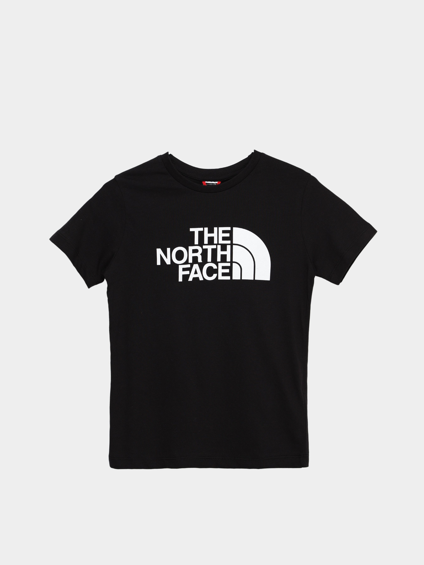 Футболка The North Face Easy модель NF0A7X5EJK31 Фото