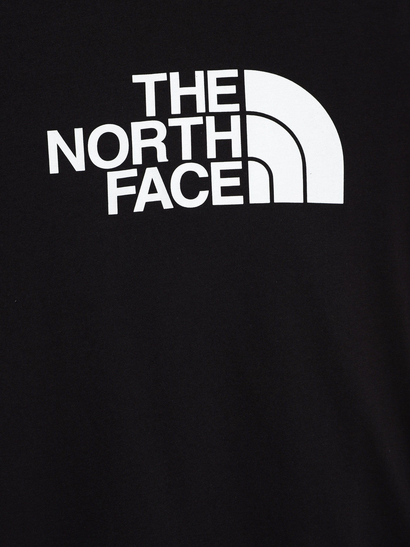 Футболка The North Face Easy модель NF0A7X5EJK31 Фото