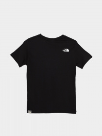 Футболка The North Face Easy модель NF0A7X5EJK31 Фото