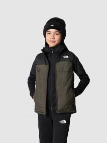 Утеплений жилет The North Face NEVER STOP модель NF0A7ZEK21L1 Фото