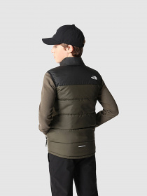Утеплений жилет The North Face NEVER STOP модель NF0A7ZEK21L1 Фото