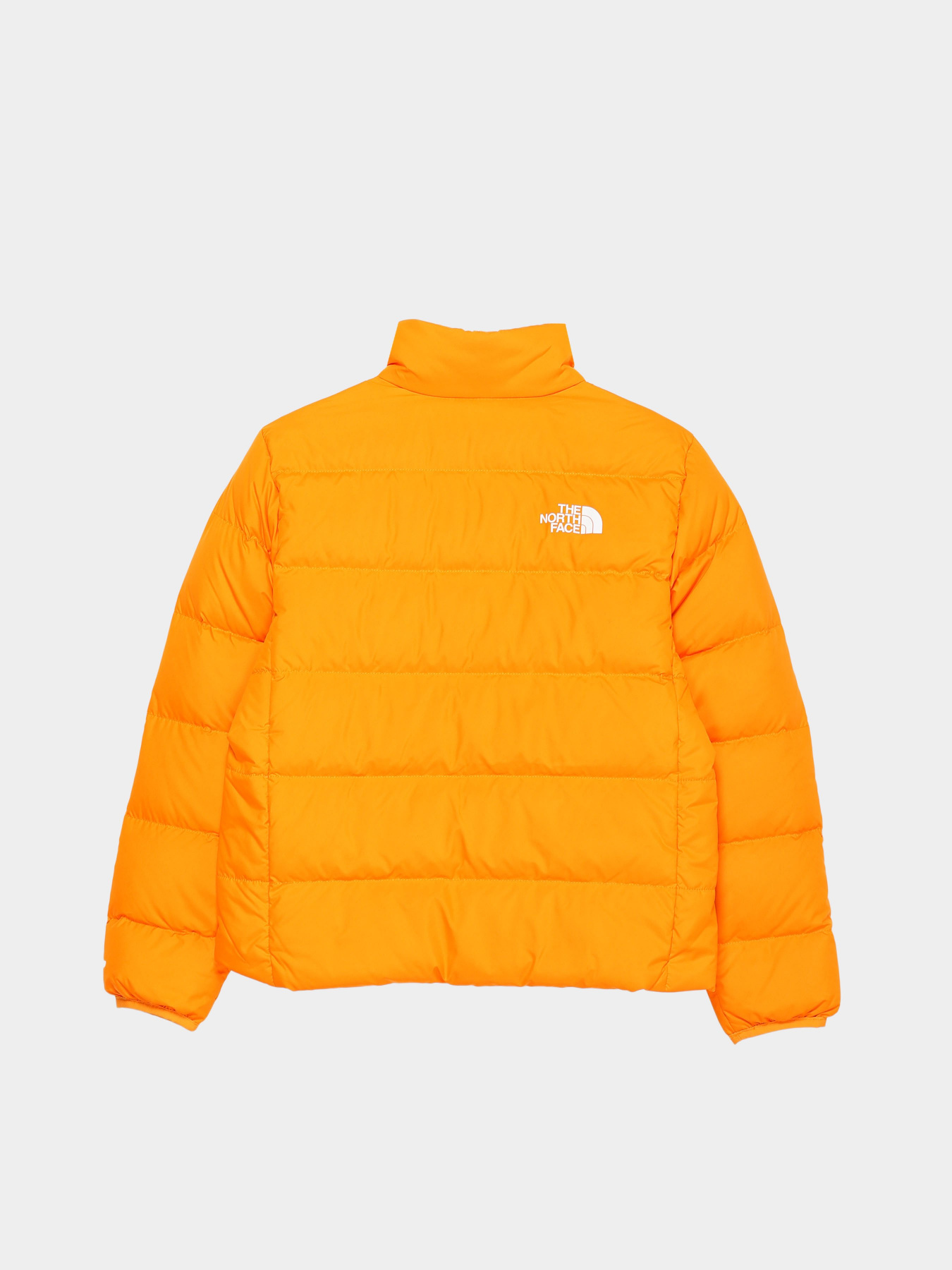 Демисезонная куртка The North Face Reversible Down модель NF0A7WOQ78M1 Фото