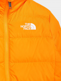 Демисезонная куртка The North Face Reversible Down модель NF0A7WOQ78M1 Фото