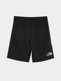 Шорты спортивные The North Face Never Stop модель NF0A82DLJK31 Фото