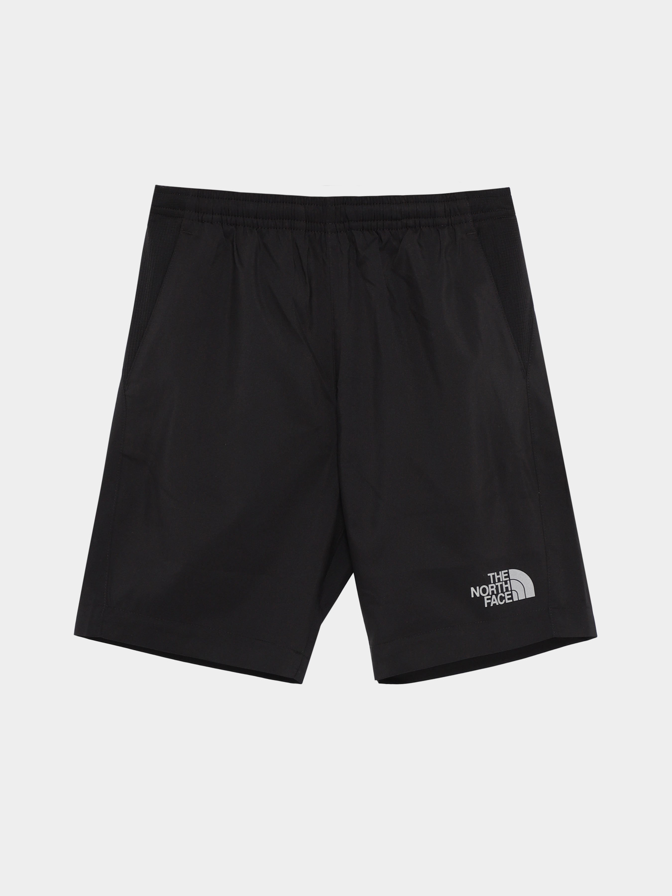Шорты спортивные The North Face Never Stop модель NF0A82DLJK31 Фото