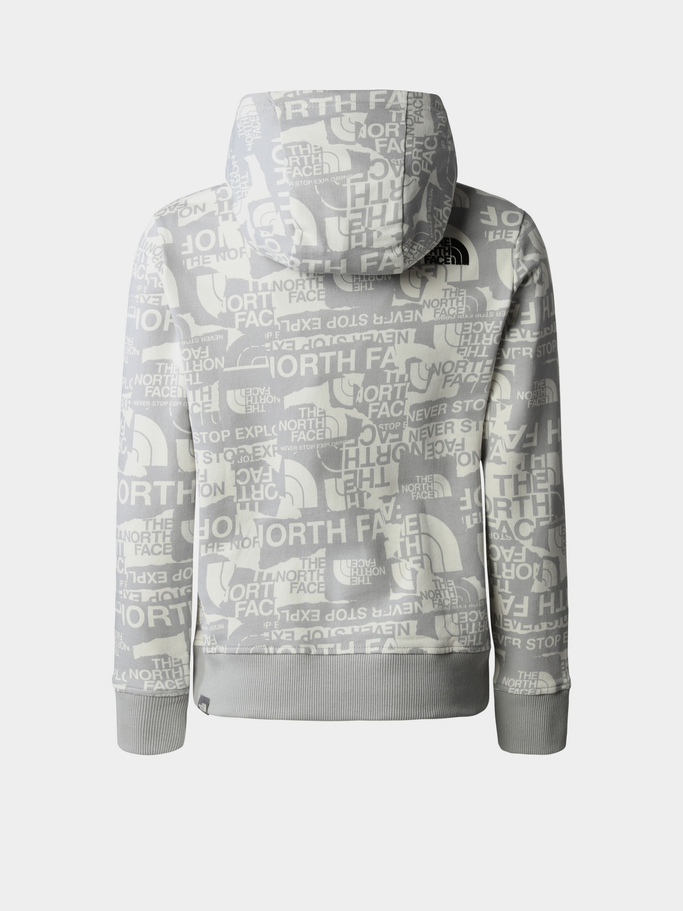 Худи The North Face Drew Peak Light модель NF0A82EGIWD1 Фото