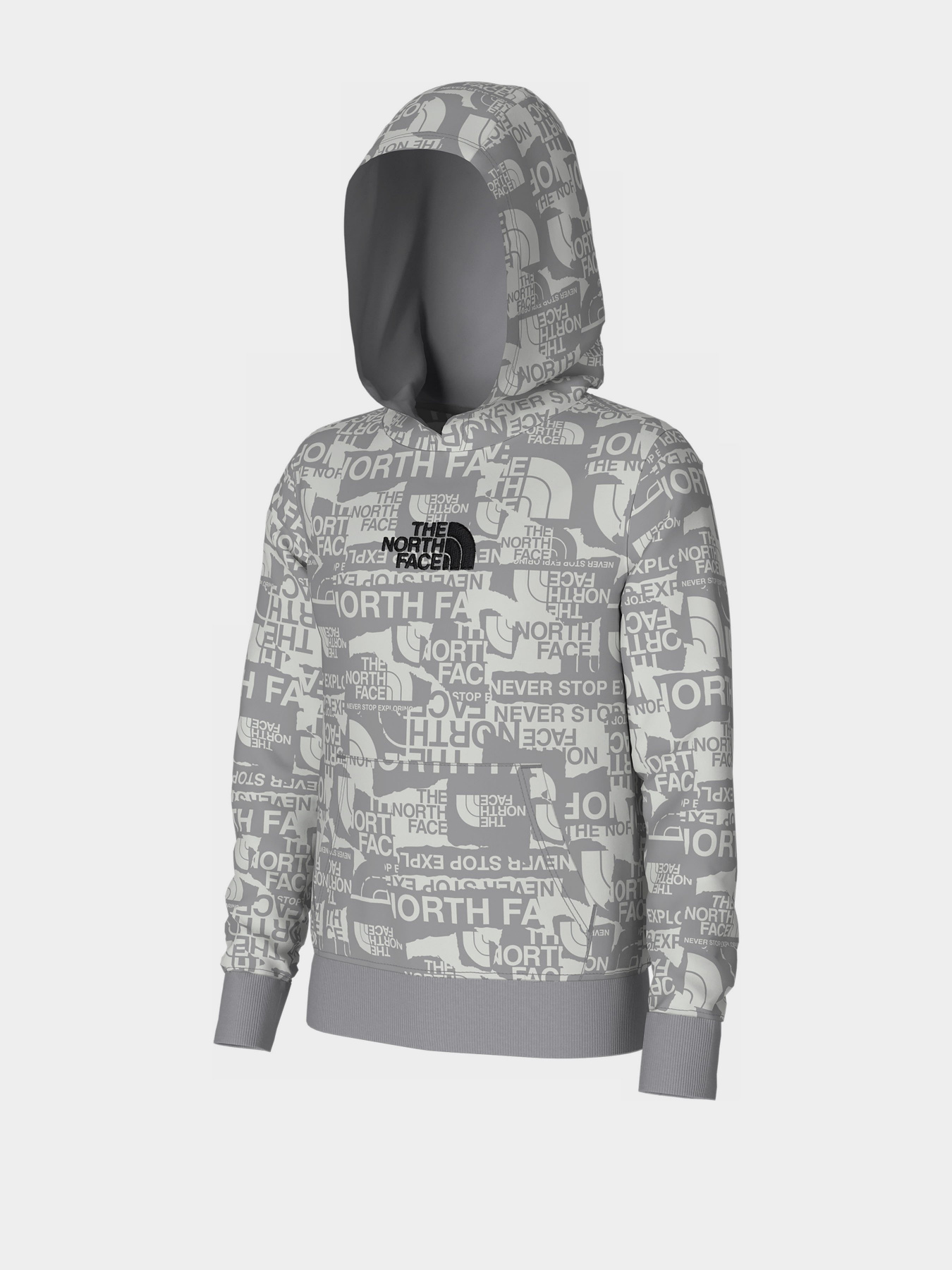 Худи The North Face Drew Peak Light модель NF0A82EGIWD1 Фото