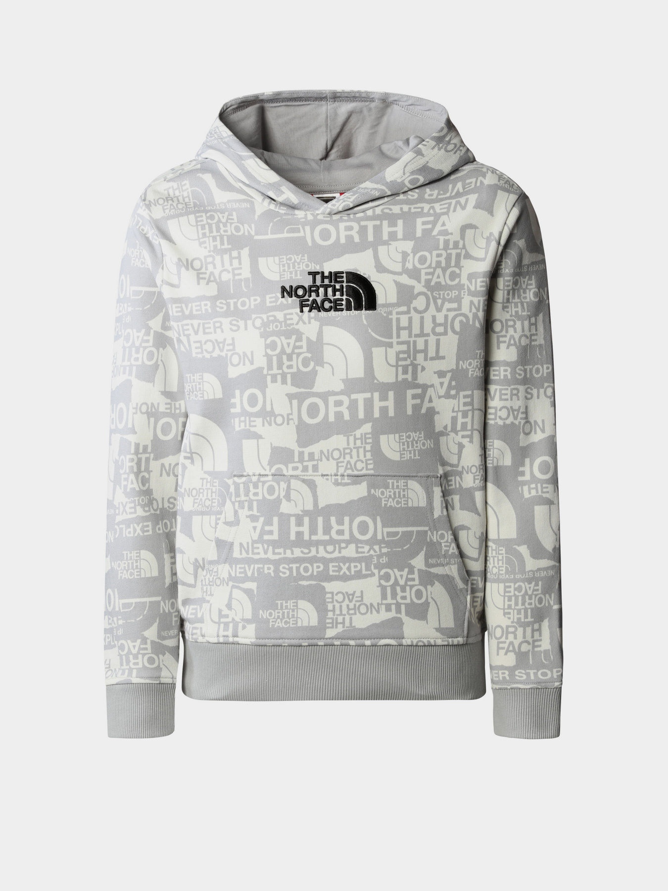 Худі The North Face Drew Peak Light модель NF0A82EGIWD1 Фото