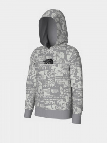 Худі The North Face Drew Peak Light модель NF0A82EGIWD1 Фото