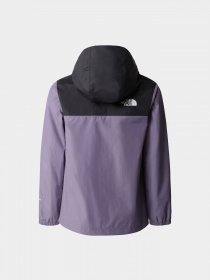 Демисезонная куртка The North Face Rainwear Shell модель NF0A82ESN141 Фото