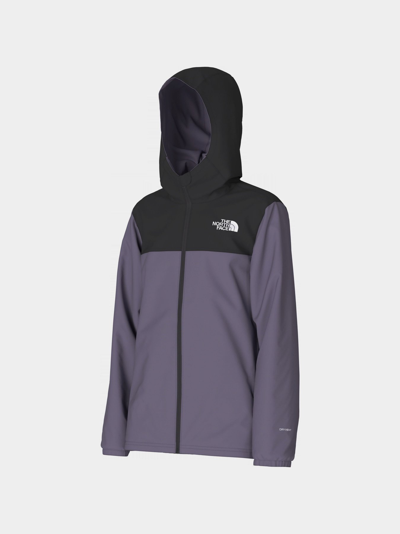 Демісезонна куртка The North Face Rainwear Shell модель NF0A82ESN141 Фото