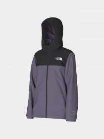 Демісезонна куртка The North Face Rainwear Shell модель NF0A82ESN141 Фото