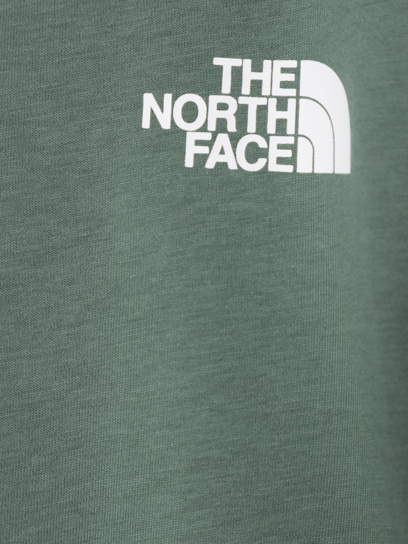 Футболка The North Face Red Box модель NF0A82E9O241 Фото