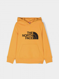 Худи The North Face Drew Peak модель NF0A82EN56P1 Фото