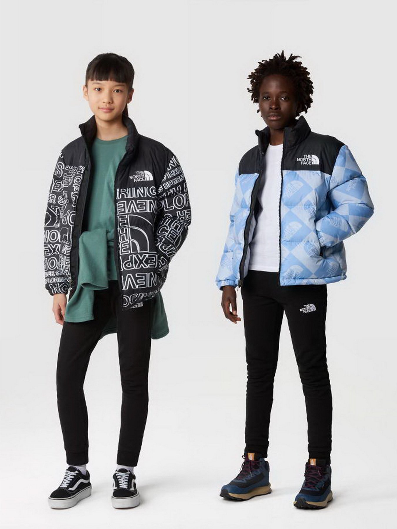 Спортивні штани The North Face SLACKER JOGGERS модель NF0A82EOJK31 Фото