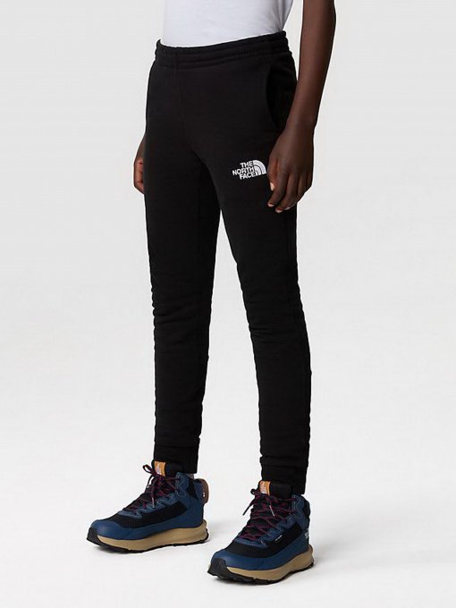 Штаны спортивные The North Face SLACKER JOGGERS модель NF0A82EOJK31 Фото