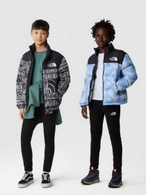 Спортивні штани The North Face SLACKER JOGGERS модель NF0A82EOJK31 Фото