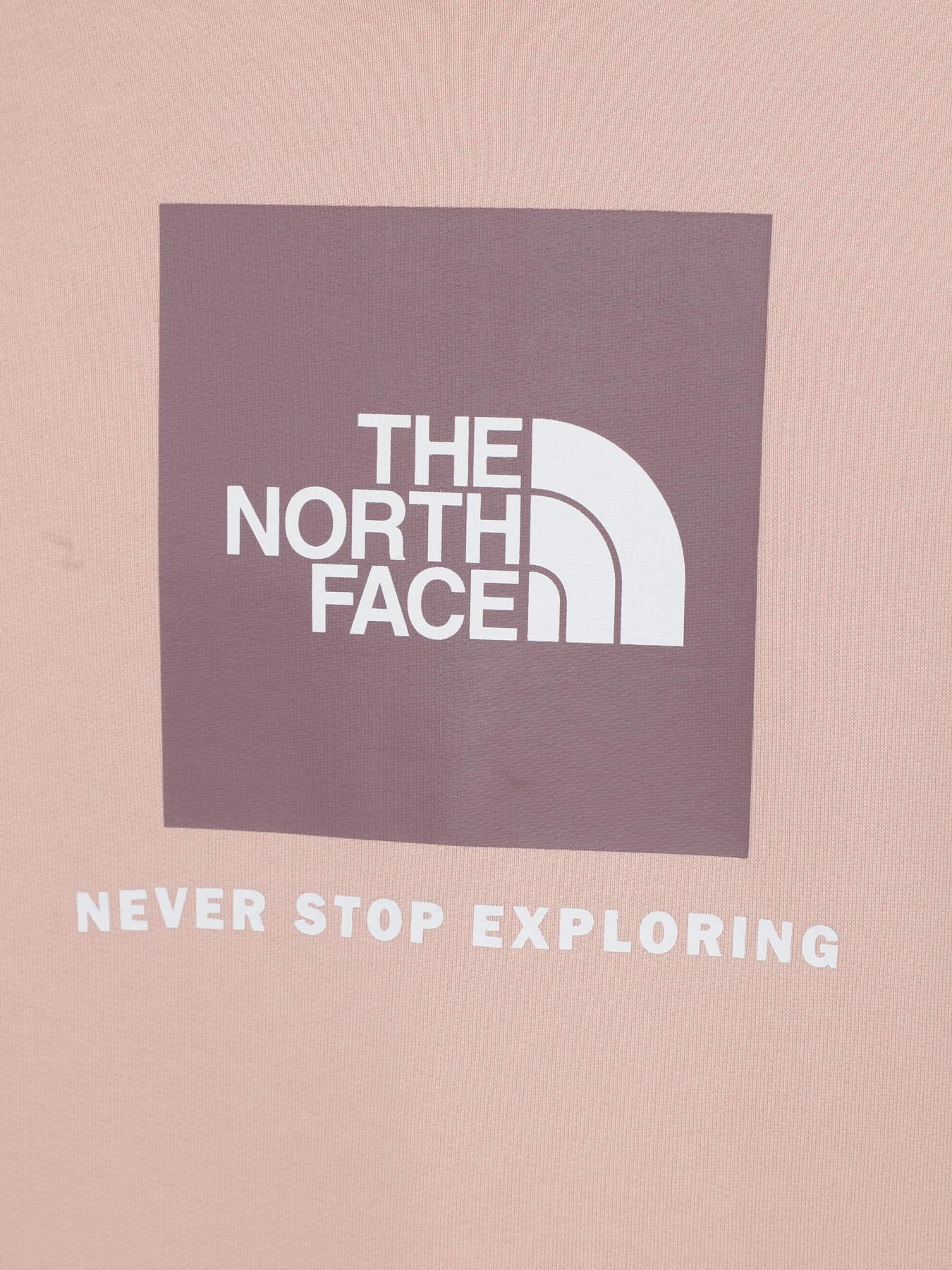 Свитшот The North Face Redbox модель NF0A82EPOU61 Фото