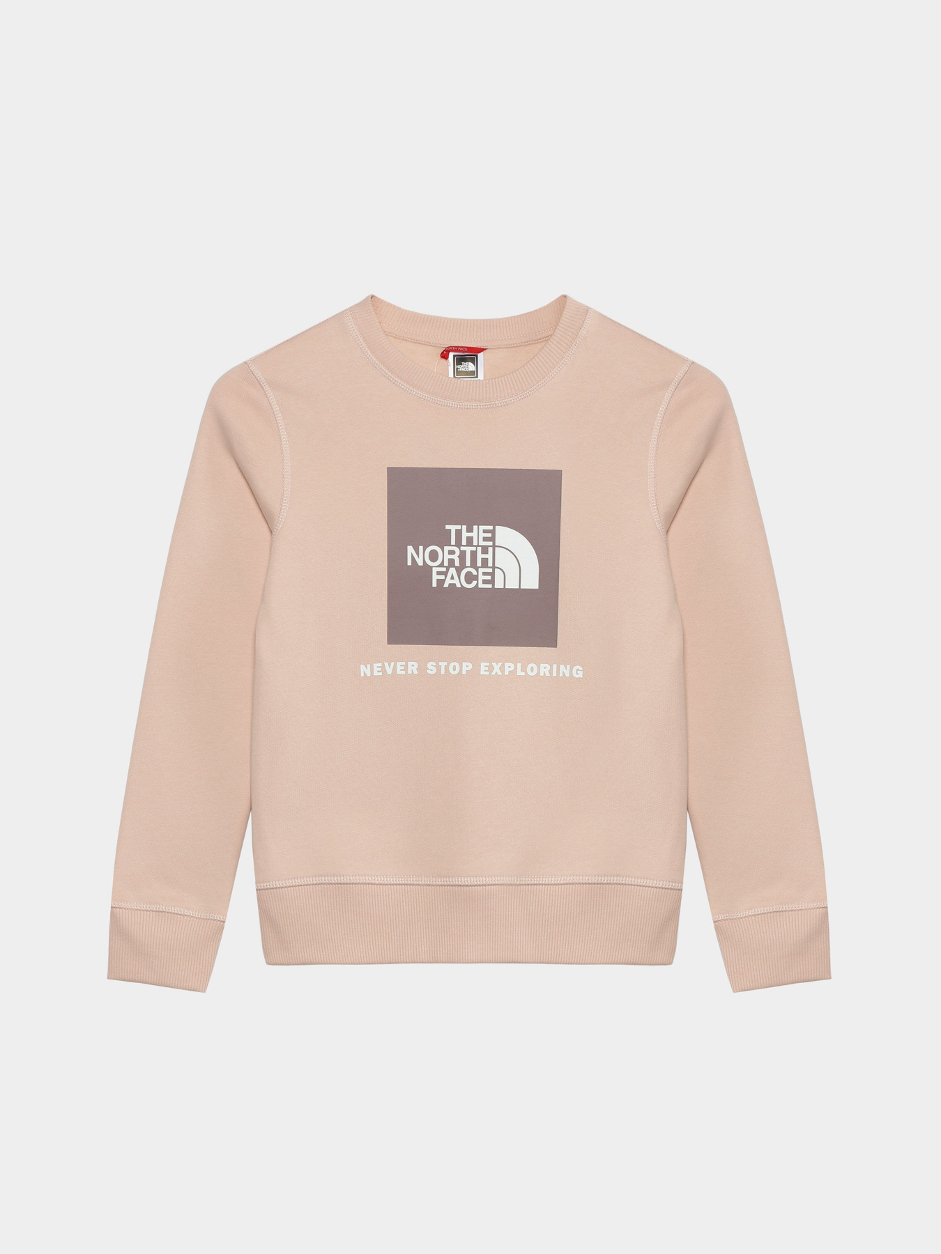 Свитшот The North Face Redbox модель NF0A82EPOU61 Фото