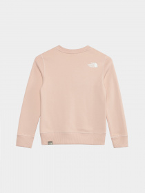 Свитшот The North Face Redbox модель NF0A82EPOU61 Фото