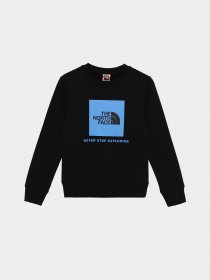 Свитшот The North Face Redbox модель NF0A82EPOGF1 Фото