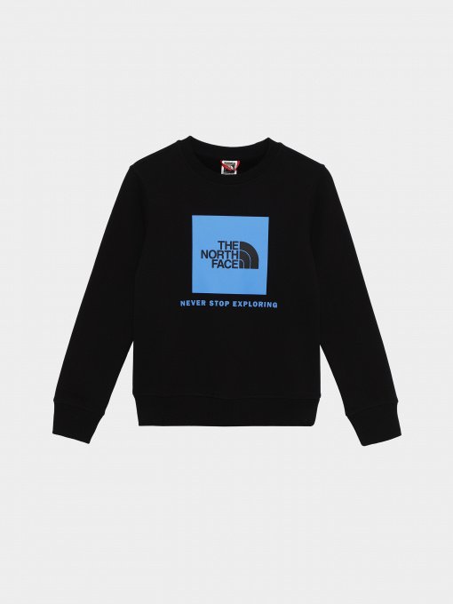 Свитшот The North Face Redbox модель NF0A82EPOGF1 Фото