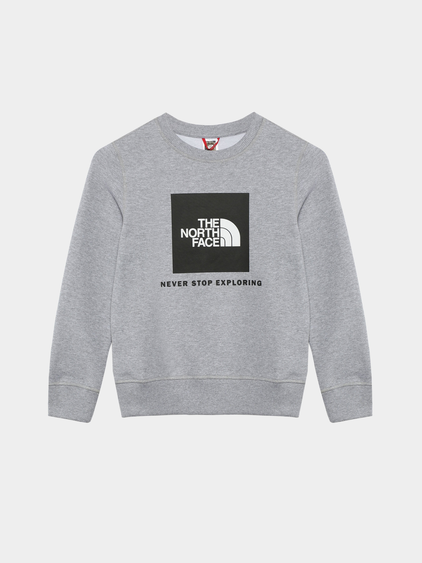 Свитшот The North Face Redbox модель NF0A82EPGAU1 Фото