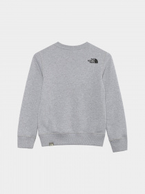 Свитшот The North Face Redbox модель NF0A82EPGAU1 Фото