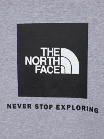 Свитшот The North Face Redbox модель NF0A82EPGAU1 Фото
