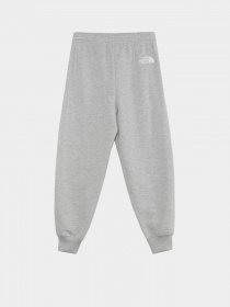 Штаны спортивные The North Face Teen Oversized модель NF0A82GIDYX1 Фото
