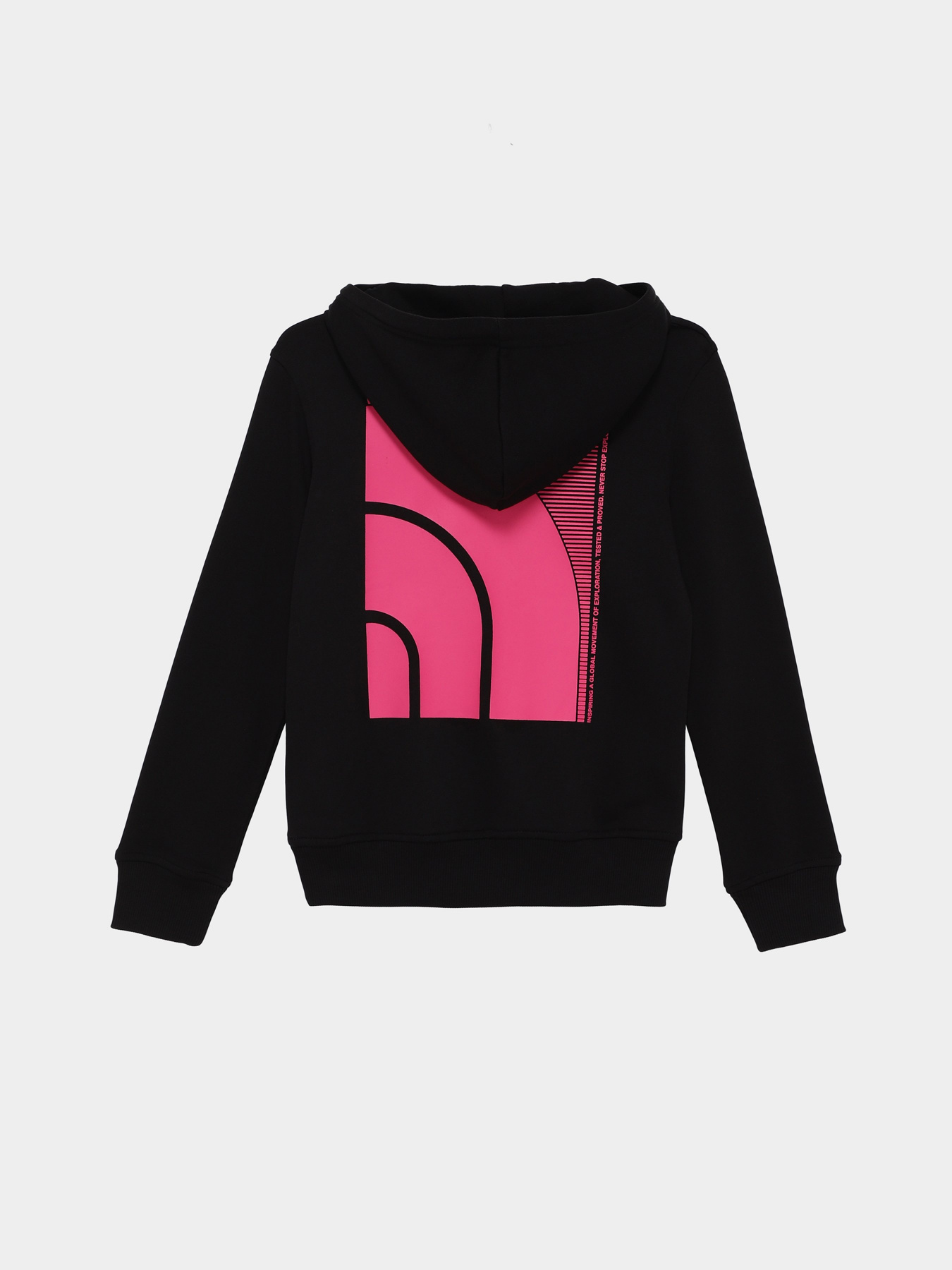 Худі The North Face GRAPHIC модель NF0A854WJ941 Фото