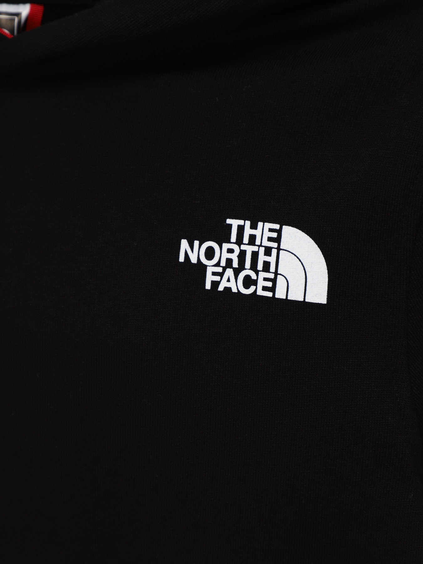 Худі The North Face GRAPHIC модель NF0A854WJ941 Фото