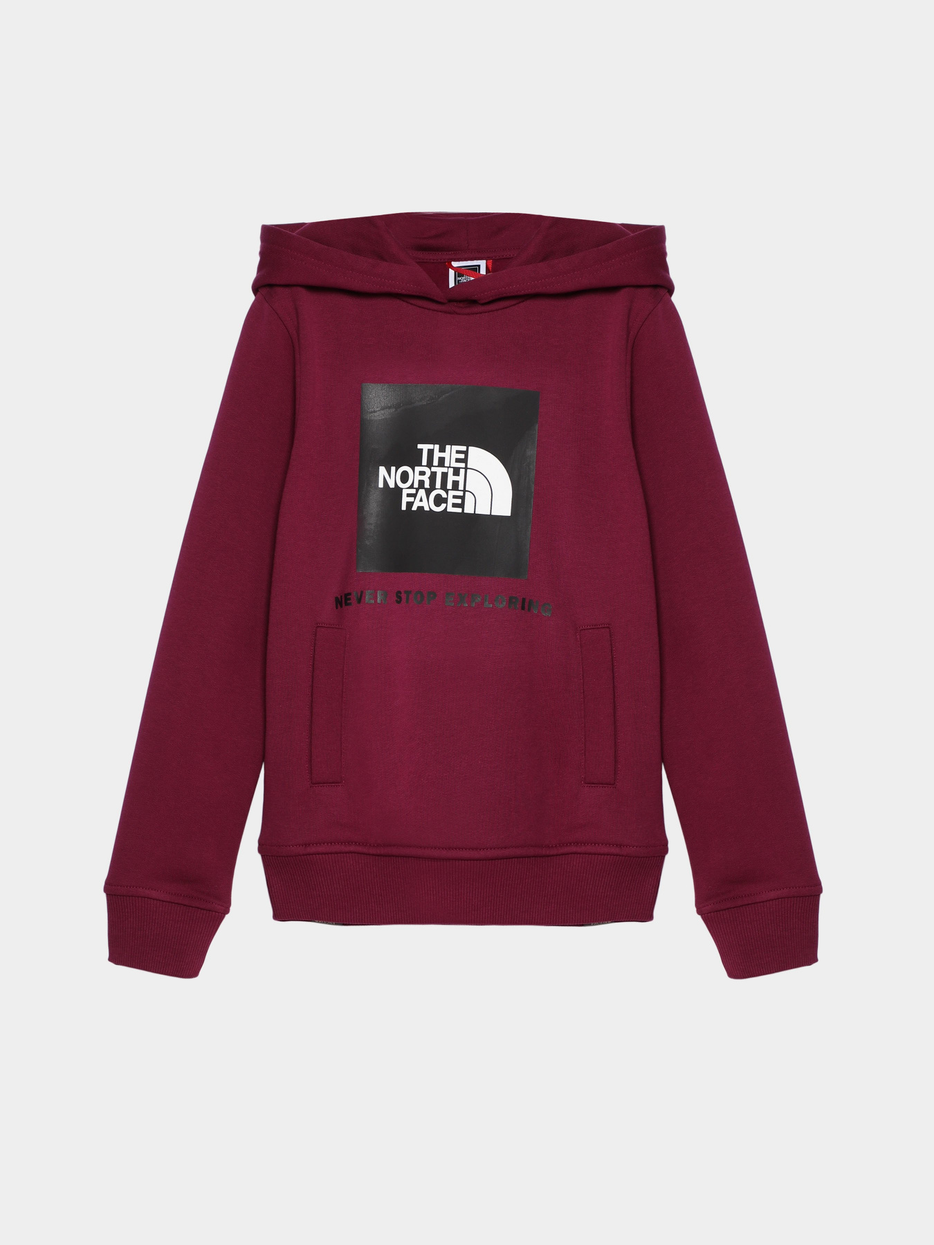 Худи The North Face Teens Box P/O модель NF0A855BI0H1 Фото