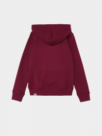 Худи The North Face Teens Box P/O модель NF0A855BI0H1 Фото