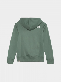 Худи The North Face Teens Box P/O модель NF0A855BO241 Фото