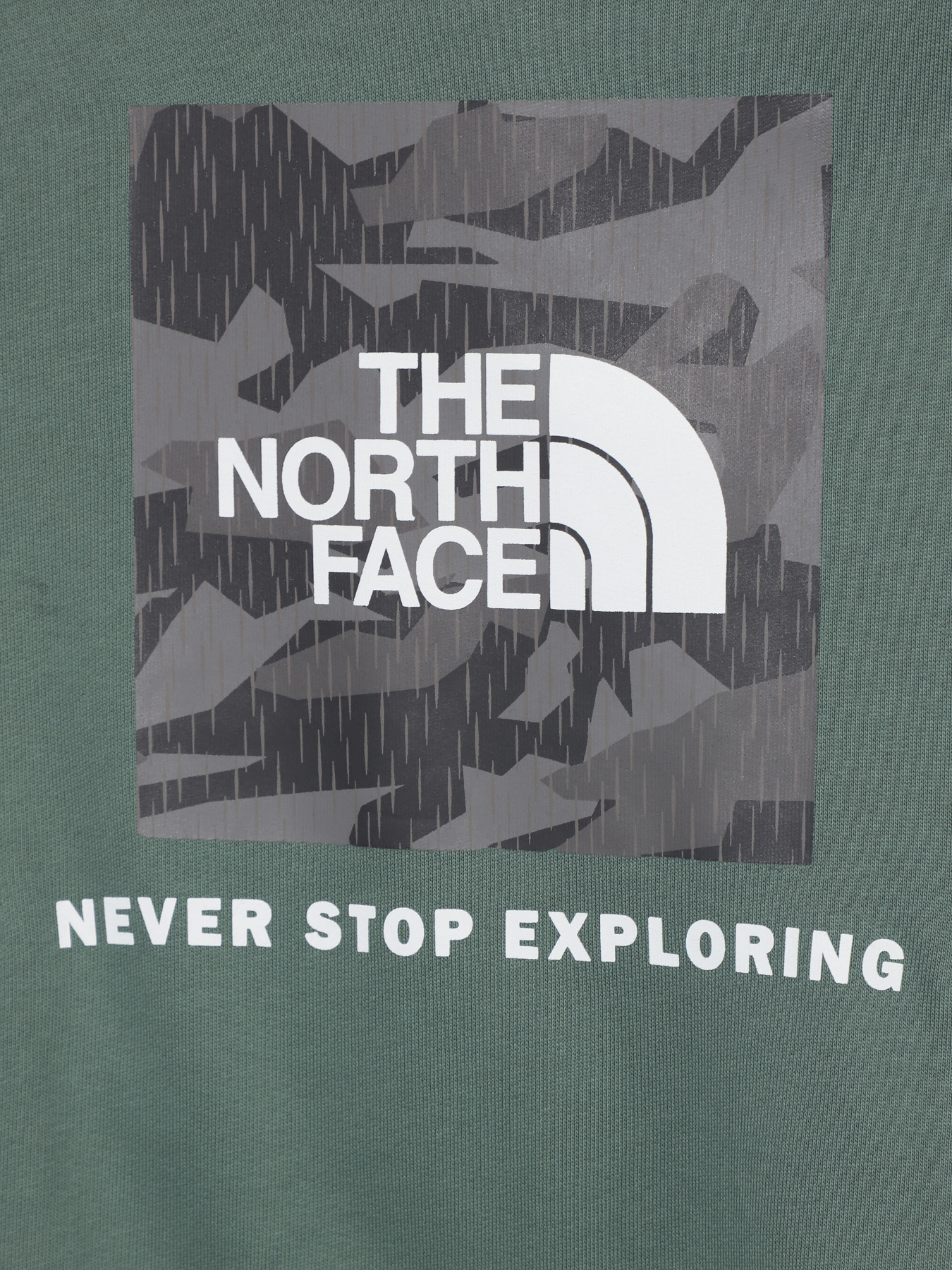 Худі The North Face Teens Box P/O модель NF0A855BO241 Фото